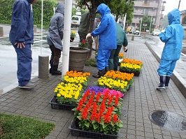 写真：花いっぱい運動