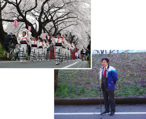 写真：ふっさ桜まつり開花式