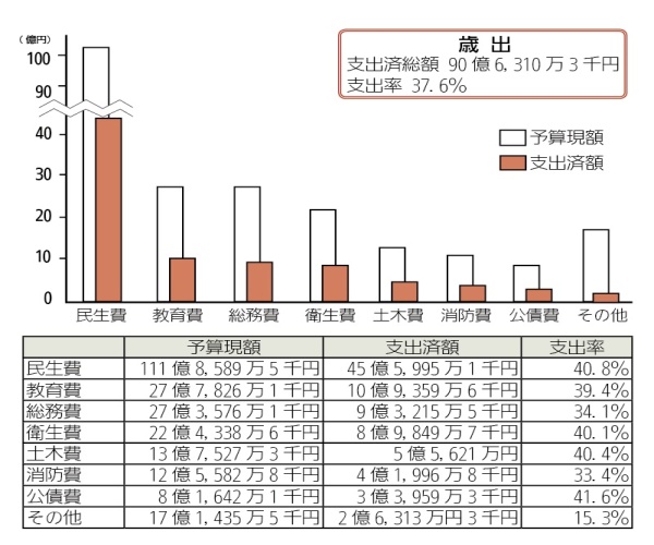 画像：一般会計予算の執行状況（歳出）