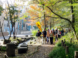 写真：秋のウォーキング大会