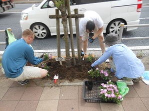 写真：国道16号での植栽の様子（平成27年5月18日）