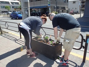 写真：やなぎ通りでの植栽の様子（平成27年5月13日）