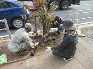 写真：国道16号での植栽の様子（平成26年11月20日）