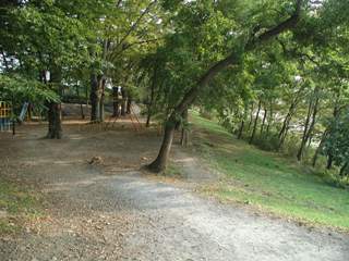 写真：福生柳山公園