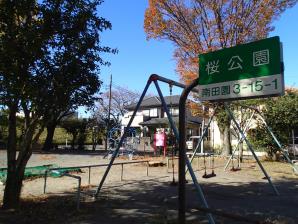 桜公園1