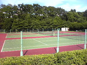 写真：多摩川緑地福生南公園3