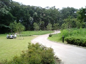 写真：原ヶ谷戸どんぐり公園2