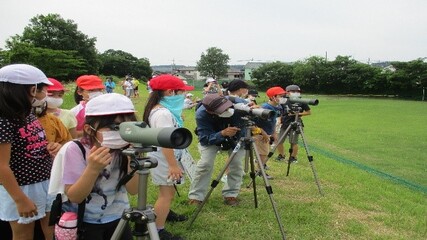 野鳥観察のようす