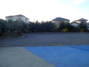 牛二公園4